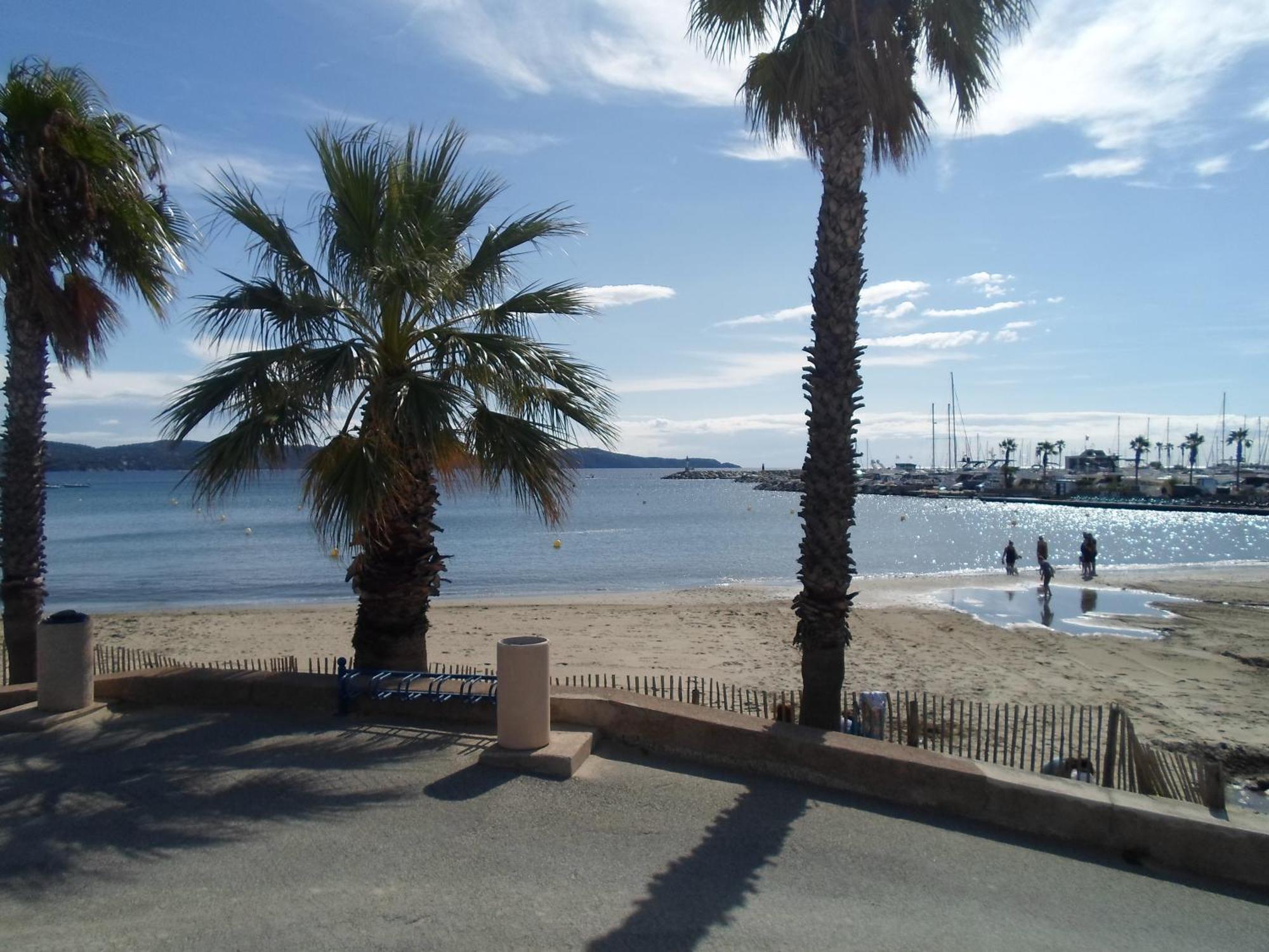 Appart T3 A 50 M De La Plage Cavalaire-sur-Mer Bagian luar foto
